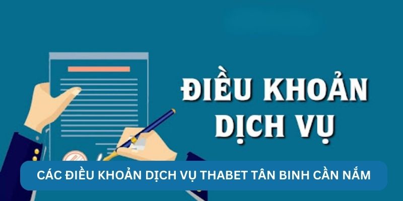 Các điều khoản dịch vụ Thabet tân binh cần nắm