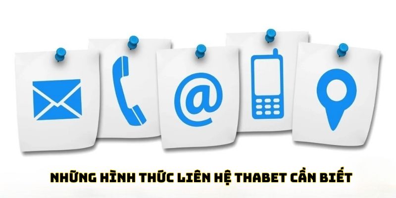 Liên Hệ Thabet Những hình thức liên hệ Thabet cần biết